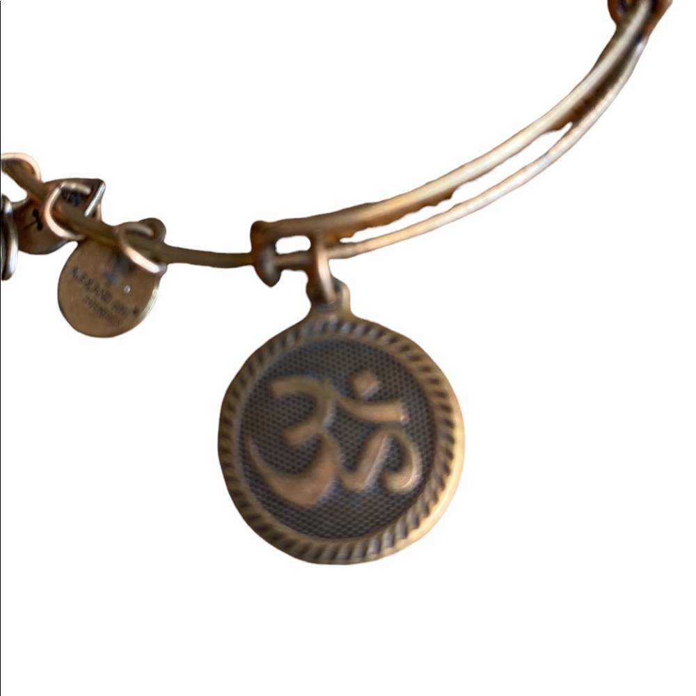 Alex and Ani Bangle 3 Small Charms 1 Large Om Symple - Picture 2 of 3